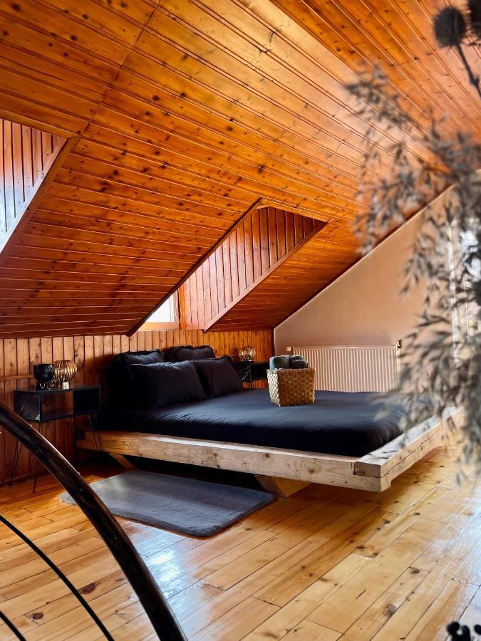 Nacada Studio By Hyco Daire Sighişoara Dış mekan fotoğraf